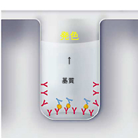 ELISA受託解析/Biosource