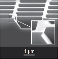 SEM image of a TGX01 grating